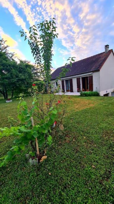 Maison Chaleureuse Avec Charme D'Ancien Jablines 外观 照片